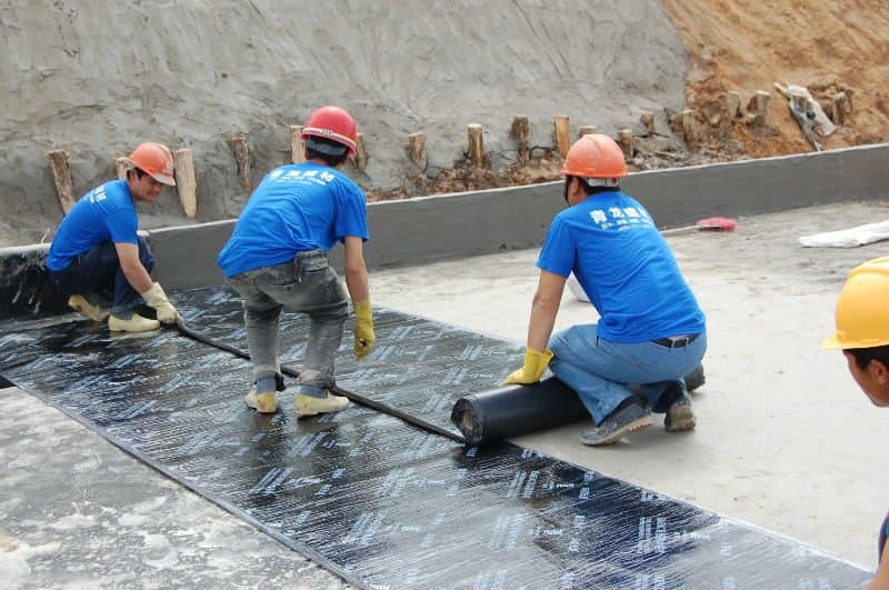 Waterproofing & Protection
